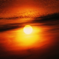 金骏眉的头像-熵减岛