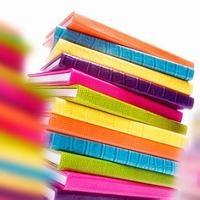 糖果小熊猫的头像-熵减岛