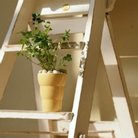 柴犬乐的头像-熵减岛