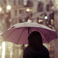 秋叶萧萧的头像-熵减岛